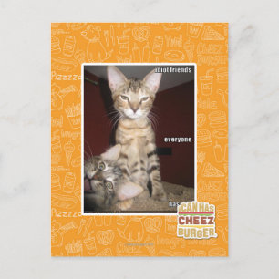 Idiot Friends Postkarte