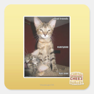 Idiot Friends Quadratischer Aufkleber