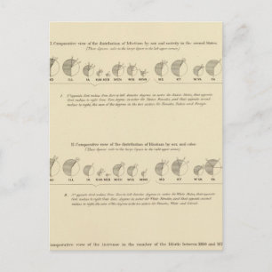 Idioten, Statistischer US-Lithograph 1870 Postkarte