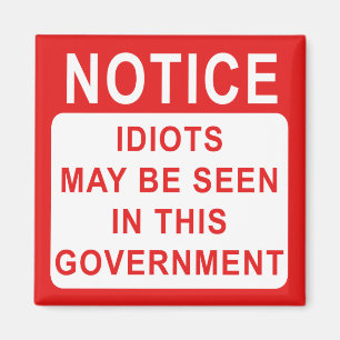 Idioteninformation Magnet