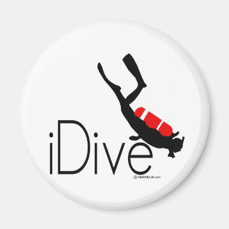 idiotisch magnet