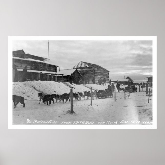 Iditarod Alaska Birdseye 1914 Poster (Vorne)