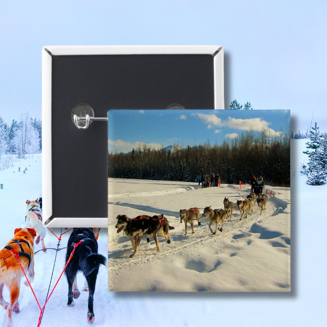 Iditarod Trail Schlittenhunde Button (Iditarod Trail Sled Dog Race Button)