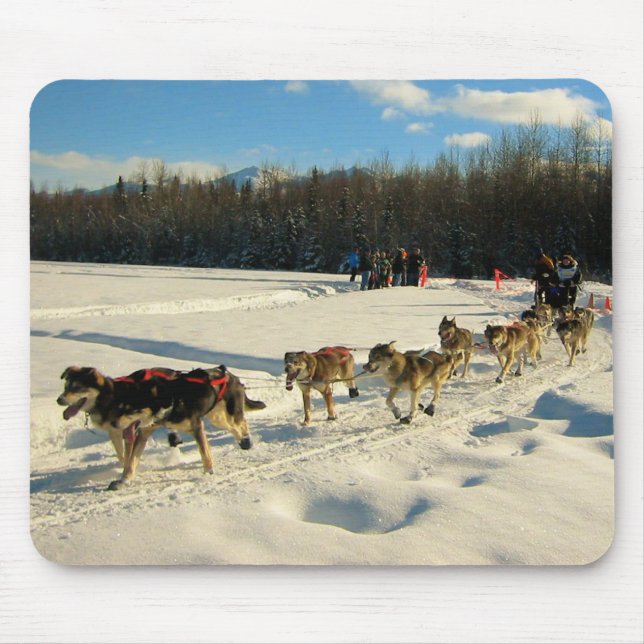 Iditarod Trail Schlittenhunde Mousepad (Vorne)