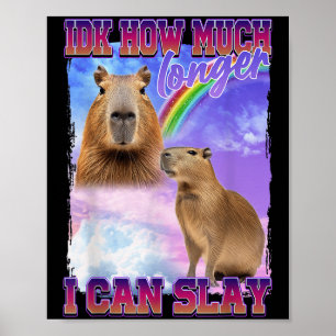 Idk, wie lange ich Capybara noch töten kann Poster