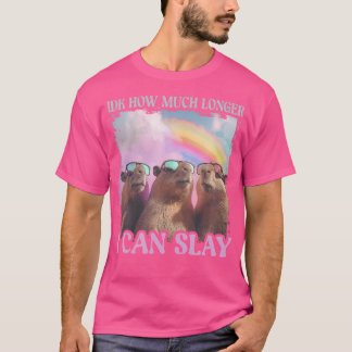 Idk, wie lange ich Capybara noch töten kann T-Shirt