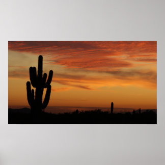IDKP Arizona Kaktus bei Sonnenuntergang Poster