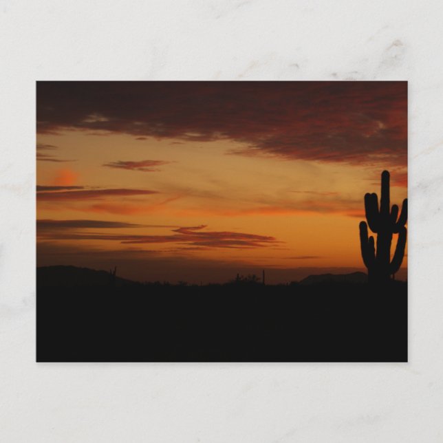 IDKP Sunset Postkarte (Vorderseite)