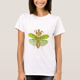 Idol mantis bug Vintage Abbildung T-Shirt