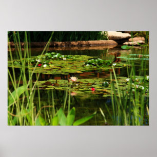 Idyllischer Nachmittag Poster