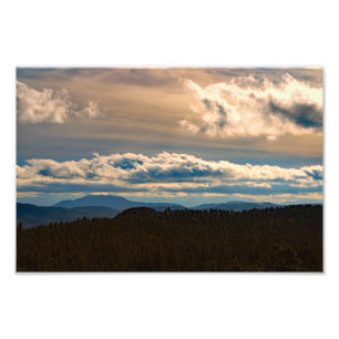 Idyllwild - Kiefernwald Fotodruck