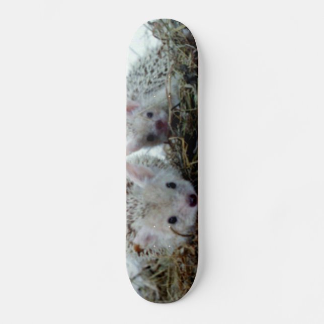 Igel als Haustiere Skateboard (Vorderseite)