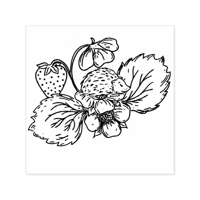 Igel auf Erdbeerpflanze Stempel (Design)