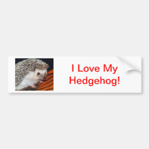 Igel Autoaufkleber