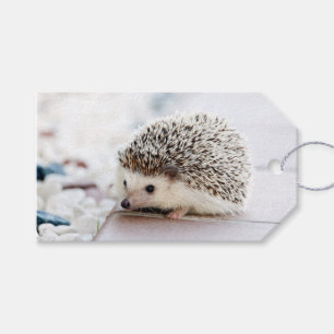 Igel Baby Geschenkanhänger
