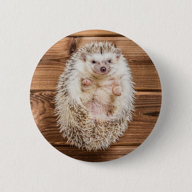 Igel Button (Vorderseite)