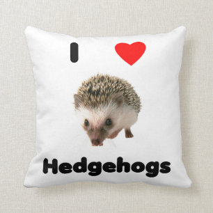 Igel der Liebe I Kissen