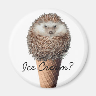 Igel Eiscreme Magnet