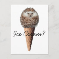 Igel Eiscreme
