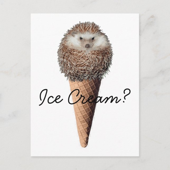 Igel Eiscreme Postkarte (Vorderseite)