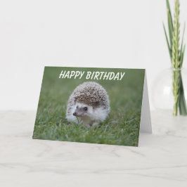 Igel Geburtstagskarte Karte