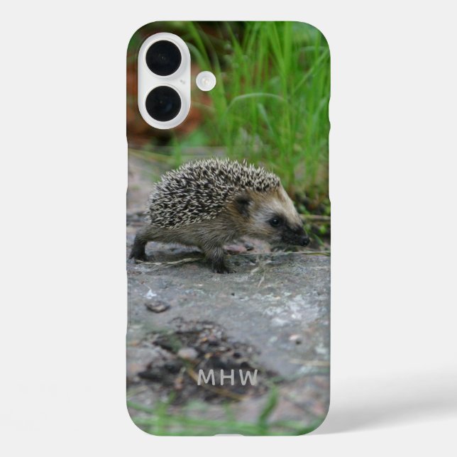 Igel-Handy-Fälle Case-Mate iPhone Hülle (Rückseite)