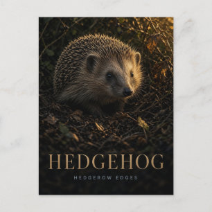 Igel Heckenränder Wildtiere TIER Postkarte