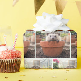 Igel in einem Tongefäß Geschenkpapier