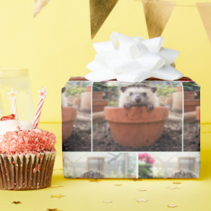 Igel in einem Tongefäß Geschenkpapier