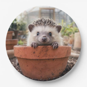 Igel in einem Tongefäß Pappteller