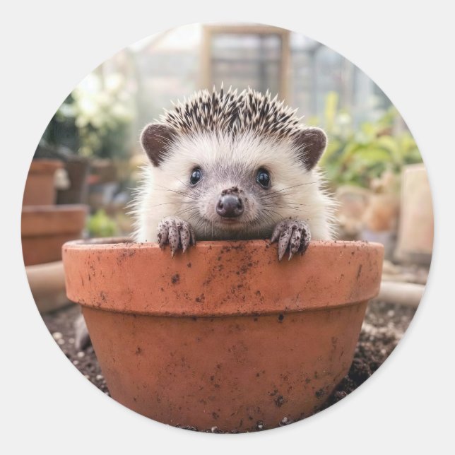 Igel in einem Tongefäß Runder Aufkleber (Vorderseite)