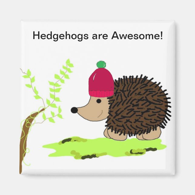 Igel in einer Roten Szene Magnet (Vorne)