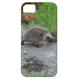 Igel iPhone Case-Mate Case-Mate iPhone Hülle