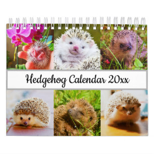 Igel Kalender