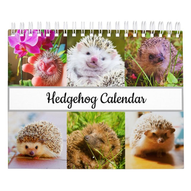 Igel Kalender (Titelbild)