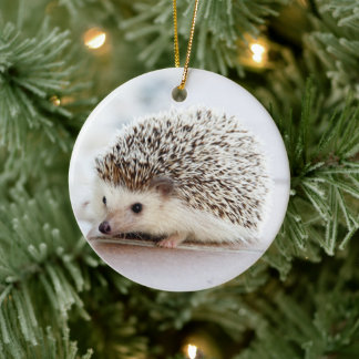 Igel Keramik Ornament