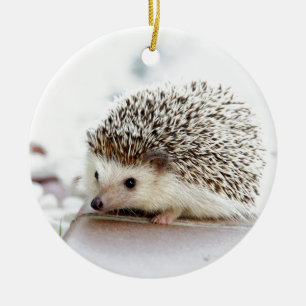 Igel Keramikornament