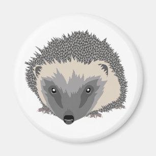 Igel Magnet