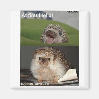 Igel-Magnet Magnet