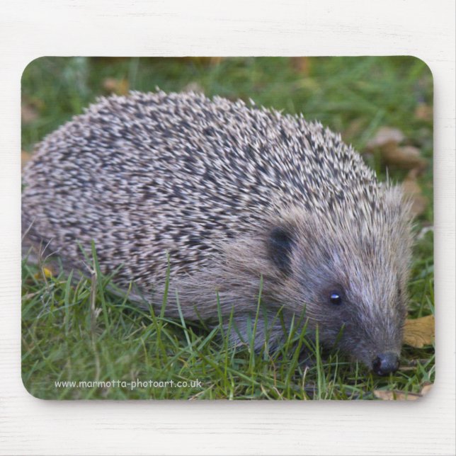 Igel-Mauspad Mousepad (Vorne)