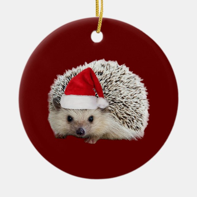 Igel mit Hat Lights Weihnachten Keramik Ornament (Vorne)