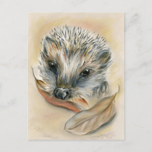 Igel mit Herbstblättern Postkarte
