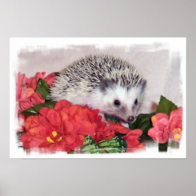 Igel mit orangefarbenen Blume Poster (Vorne)
