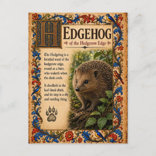 Igel, mittelalterliche Bestiarien-Kunst Postkarte