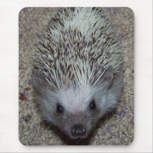 Igel Mousepad