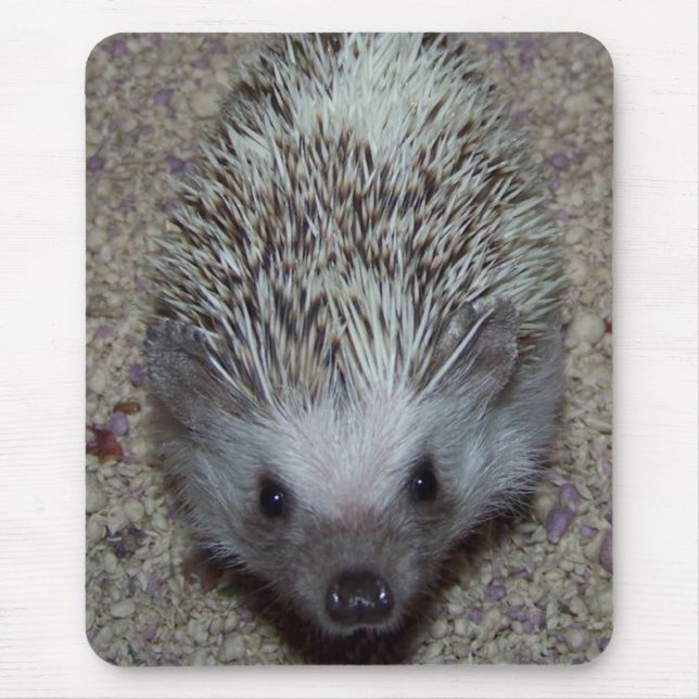 Igel Mousepad (Vorne)