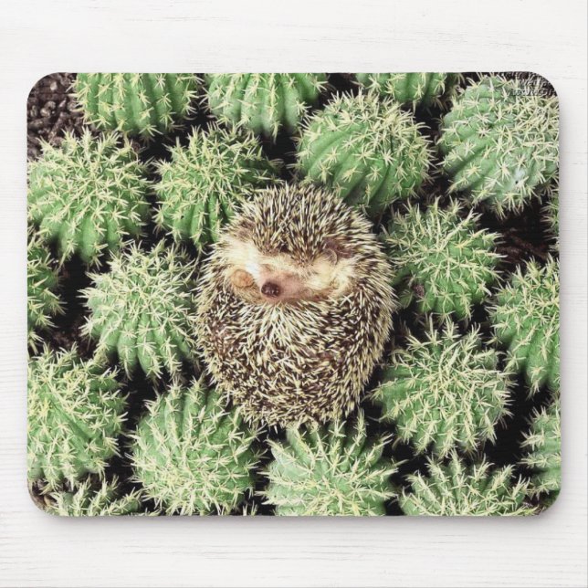 Igel Mousepad (Vorne)