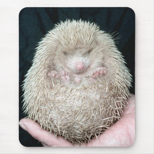 Igel Mousepad (Vorne)