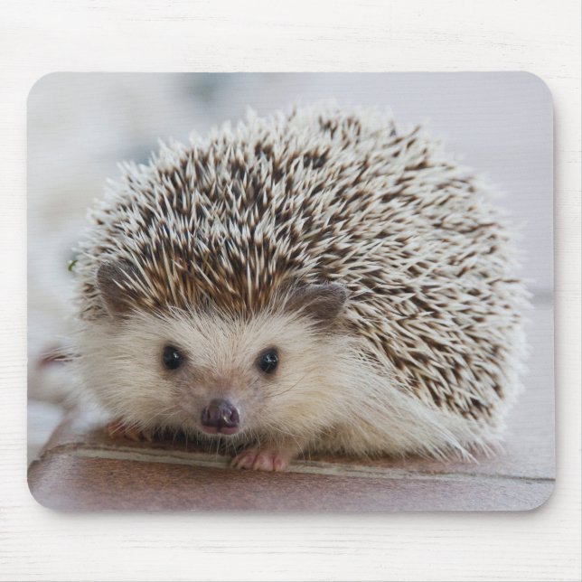 Igel Mousepad (Vorne)