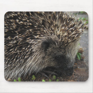 Igel Mousepad
